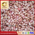 Export Quality Jumbo Peanut Kernels with Factory Price